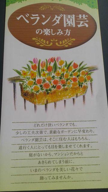 ガーデニング、ベランダ園芸の楽しみ方冊子 < ペット/手芸/園芸  ガーデニング、ベランダ園芸の楽しみ方冊子  < ペット/手芸/園芸の