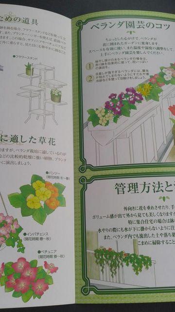 ガーデニング、ベランダ園芸の楽しみ方冊子 < ペット/手芸/園芸  ガーデニング、ベランダ園芸の楽しみ方冊子 < ペット/手芸/園芸の