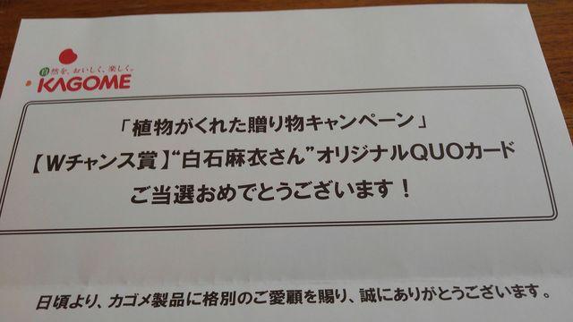 KAGOMEラブレ 白石麻衣さんオリジナルQUOカード500円分 当選品 乃木坂46 < チケット/金券  KAGOMEラブレ 白石麻衣さんオリジナルQUOカード500円分 当選品 乃木坂46 < チケット/金券の