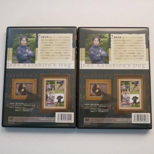 DVD 2 ǎ̂ {+p   CD/DVD/rfI 