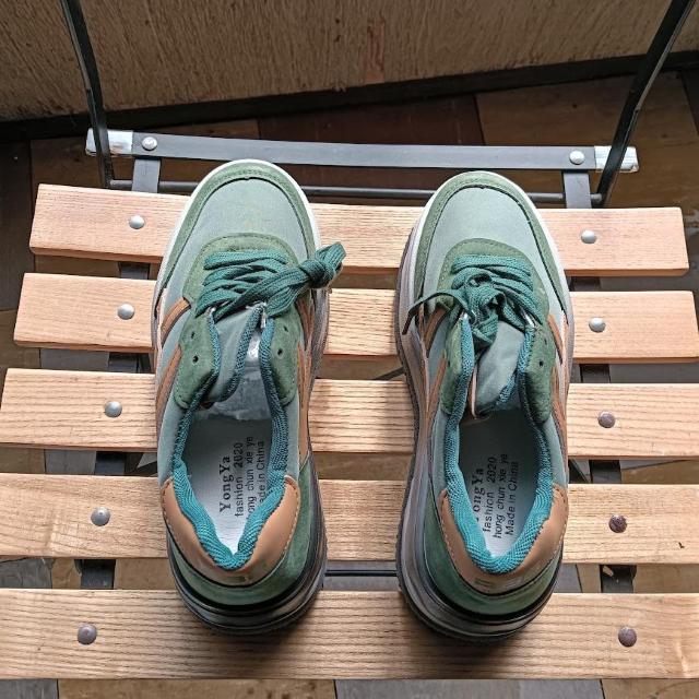 Vi 24cm fB[X Xj[J[ O[ V[Y C   t@bV 