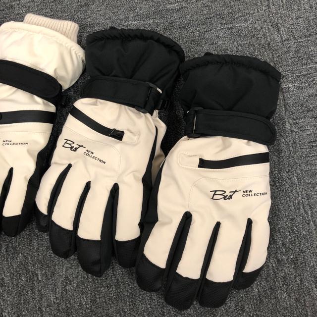  XL[O[u h hO[u yA 2Zbg  W[/X|[c 