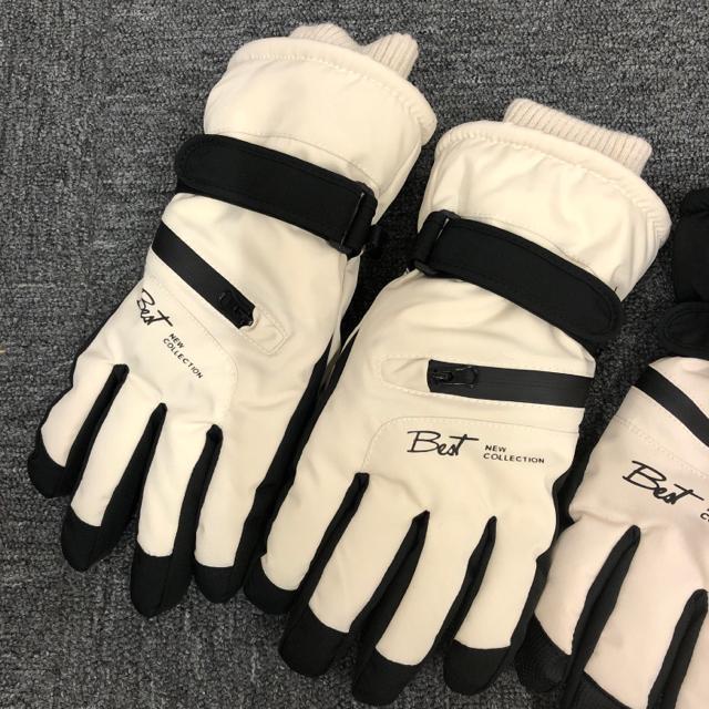  XL[O[u h hO[u yA 2Zbg  W[/X|[c 