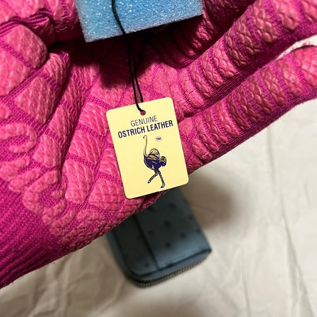 【美品】【オーストリッチ】 本革 / コインケース / ブルー系 < 女性ファッション 【美品】【オーストリッチ】 本革 / コインケース / ブルー系 < 女性ファッションの