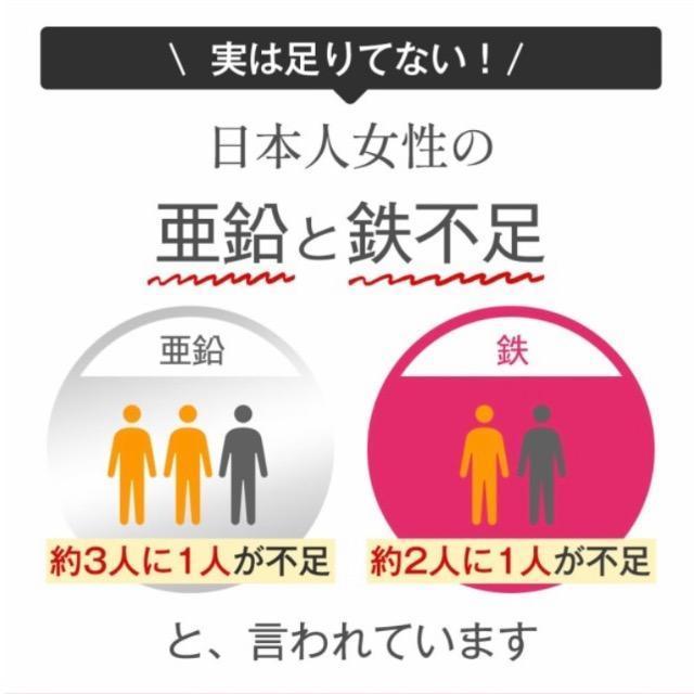亜鉛&鉄 サプリメント 約3ヵ月分 栄養機能食品 健康食品 < グルメ/ドリンク  亜鉛&鉄 サプリメント 約3ヵ月分 栄養機能食品 健康食品 < グルメ/ドリンクの