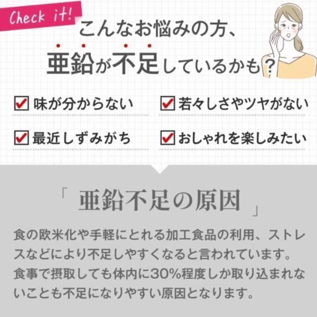 亜鉛&鉄 サプリメント 約3ヵ月分 栄養機能食品 健康食品 < グルメ/ドリンク  亜鉛&鉄 サプリメント 約3ヵ月分 栄養機能食品 健康食品 < グルメ/ドリンクの