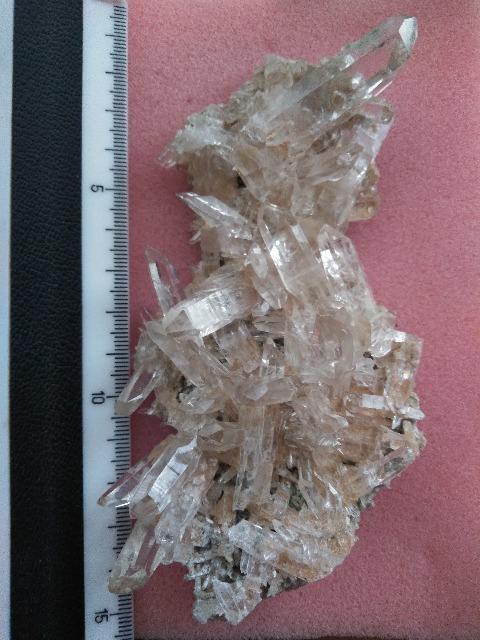 i@q}NX^[@150O@zȉŏoi   CeA/Ct 