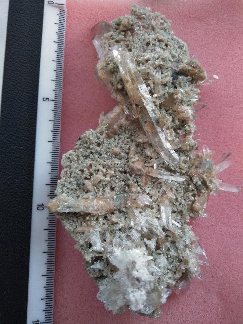 i@q}NX^[@150O@zȉŏoi  CeA/Ct 