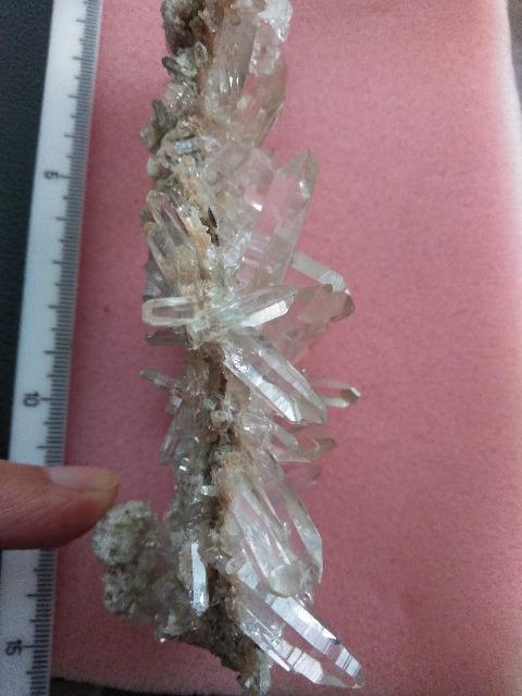 i@q}NX^[@150O@zȉŏoi  CeA/Ct 