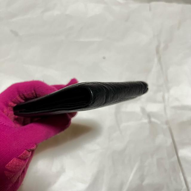 yTAKEO KIKUCHI / ^PILN`z U[ / ܂z@  uh 