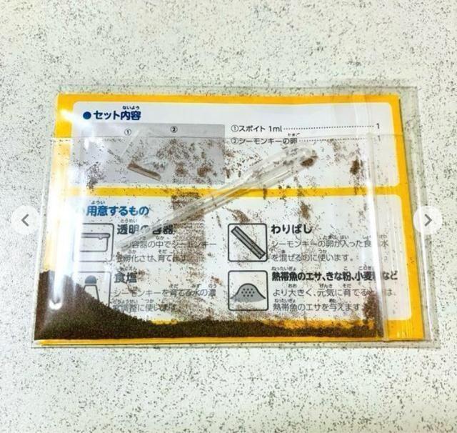 シーモンキー★育成キット 夏休み 冬休み 自由研究★ペット < ペット/手芸/園芸 シーモンキー★育成キット 夏休み 冬休み 自由研究★ペット < ペット/手芸/園芸の