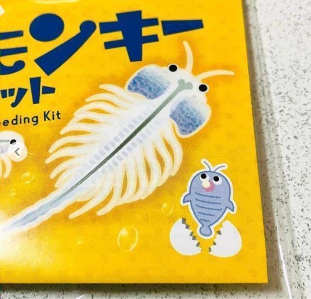 シーモンキー★育成キット 夏休み 冬休み 自由研究★ペット < ペット/手芸/園芸 シーモンキー★育成キット 夏休み 冬休み 自由研究★ペット < ペット/手芸/園芸の