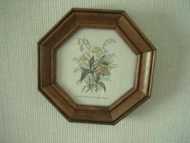 ANTIQUE*/アンティーク* ◆絵画 < 本/雑誌  ANTIQUE*/アンティーク* ◆絵画  < 本/雑誌の