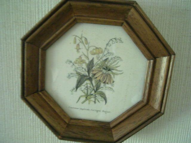 ANTIQUE*/アンティーク* ◆絵画 < 本/雑誌  ANTIQUE*/アンティーク* ◆絵画 < 本/雑誌の