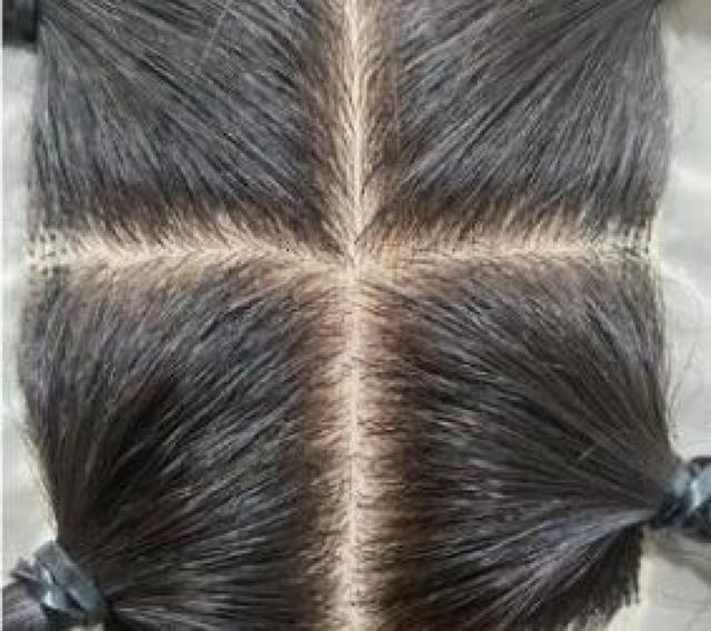 �V�i �l�� ��A�� �����J�o�[�傫���T�C�Y �P�UX14 �l�H�畆�t�� �u���E�� �� �����t�@�b�V������ 