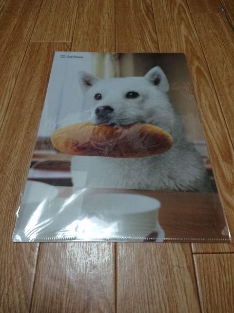 \tgoN 񔄕iNAt@C gp   zr[ 