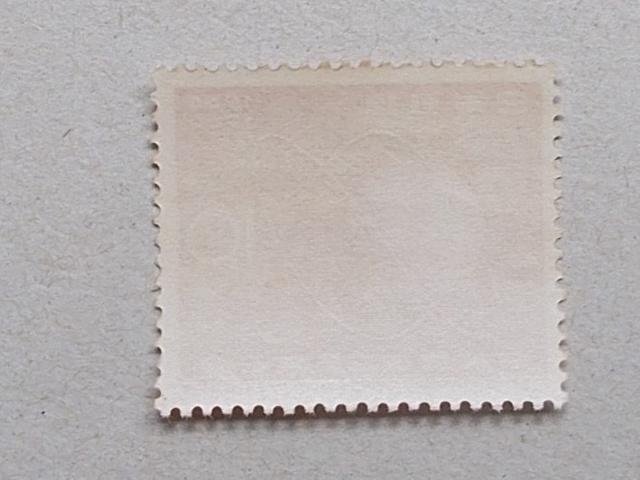 ygpz1960N@ەQTNLO@P  zr[ 