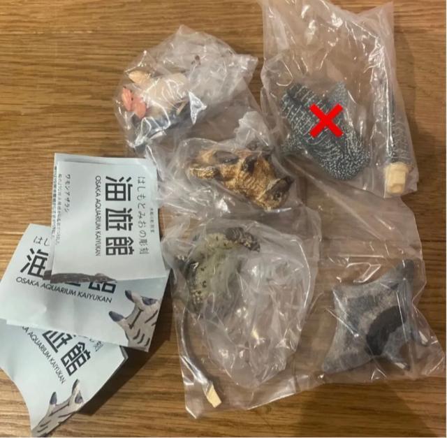 �C�V�ف@�K�`���@�͂����Ƃ݂�  �� �z�r�[�� 