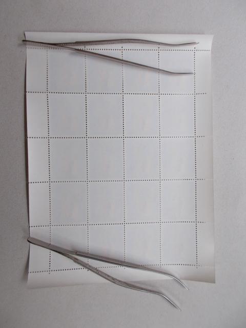 ygpzN؎@aSPNp@̂ы@PV[g  zr[ 