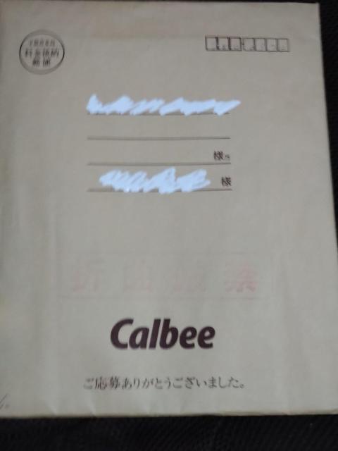 仮面ライダー スペシャルブック < ホビー  仮面ライダー スペシャルブック < ホビーの