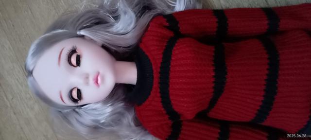 t@bVS̐l`60Z`[gvZX 1/3 Bjd l` 22C`xr[LbY̎ql`  zr[ 