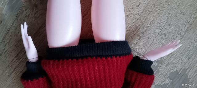t@bVS̐l`60Z`[gvZX 1/3 Bjd l` 22C`xr[LbY̎ql`  zr[ 