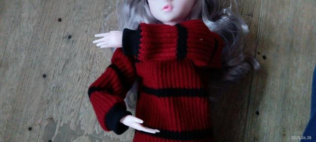 t@bVS̐l`60Z`[gvZX 1/3 Bjd l` 22C`xr[LbY̎ql`  zr[ 