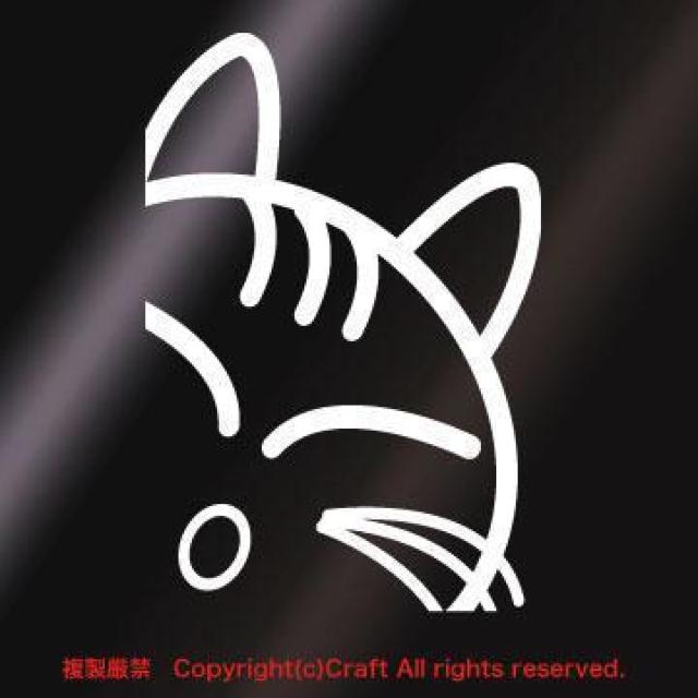 ̂L/XebJ[ijA-Type,LAcatA11cmAOόf  /oCN