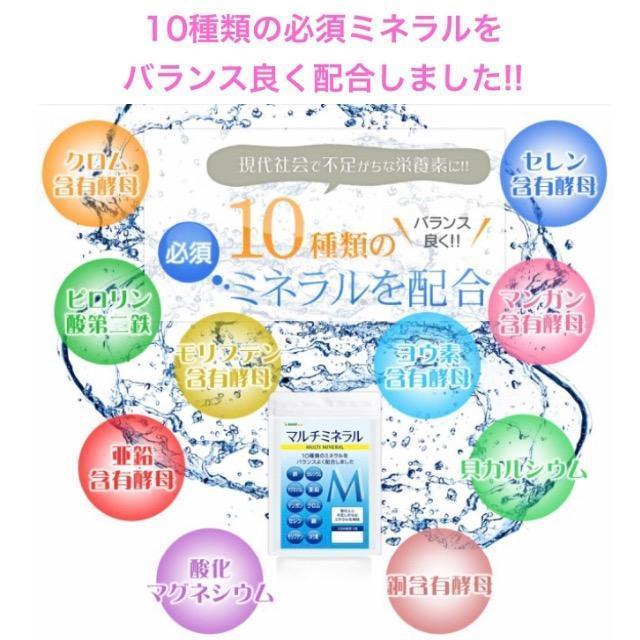 マルチミネラル サプリメント 1年分カルシウム ミネラル 銅 鉄 亜鉛 < ヘルス/ビューティー  マルチミネラル サプリメント 1年分カルシウム ミネラル 銅 鉄 亜鉛 < ヘルス/ビューティーの