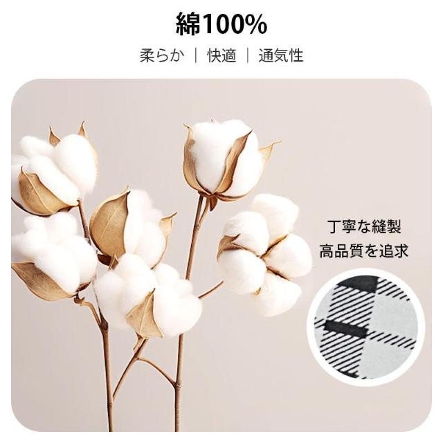 Y gNX 100  3Zbg j pc OJ  傫TCY Rbg K ʋC  _  CeA/Ct 