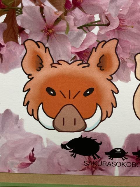 2/|XgJ[h/ԍk/eq̊Abv+/CXgƎʐ^̐؂蔲/IWi  CeA/Ct 