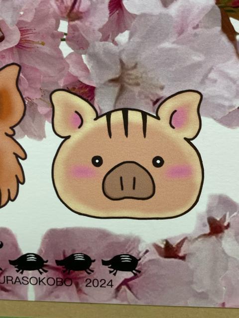 2/|XgJ[h/ԍk/eq̊Abv+/CXgƎʐ^̐؂蔲/IWi  CeA/Ct 