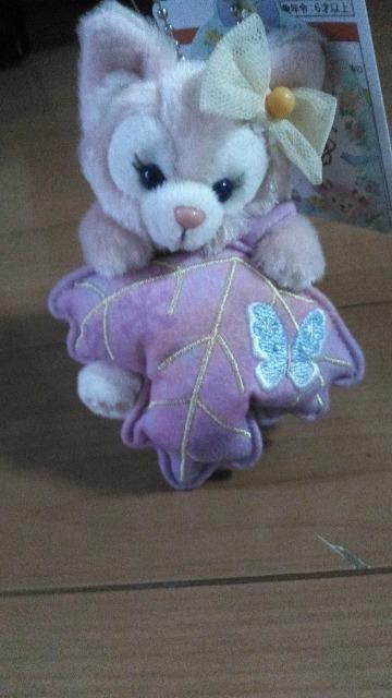 ][gEBbVOEBOX[ixʂ݃`[   CeA/Ct 