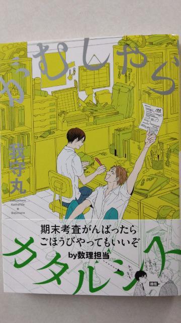 ނJ^VX^   Aj/R~bN/LN^[ 