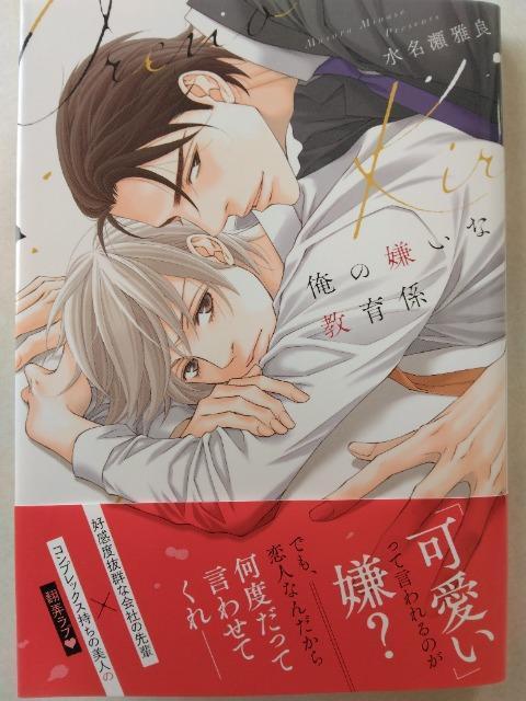 ̌ȋW^   Aj/R~bN/LN^[ 