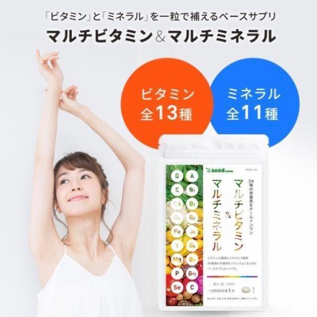 マルチビタミン&マルチミネラル サプリメント約3ヵ月分 健康食品 < グルメ/ドリンク マルチビタミン&マルチミネラル サプリメント約3ヵ月分 健康食品 < グルメ/ドリンクの