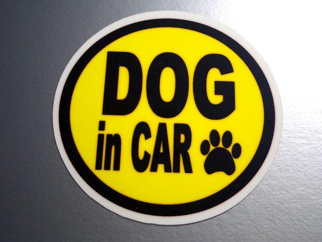 DOG in CARイエローステッカー○愛犬が乗ってます☆シール < 自動車/バイク DOG in CARイエローステッカー○愛犬が乗ってます☆シール < 自動車/バイク