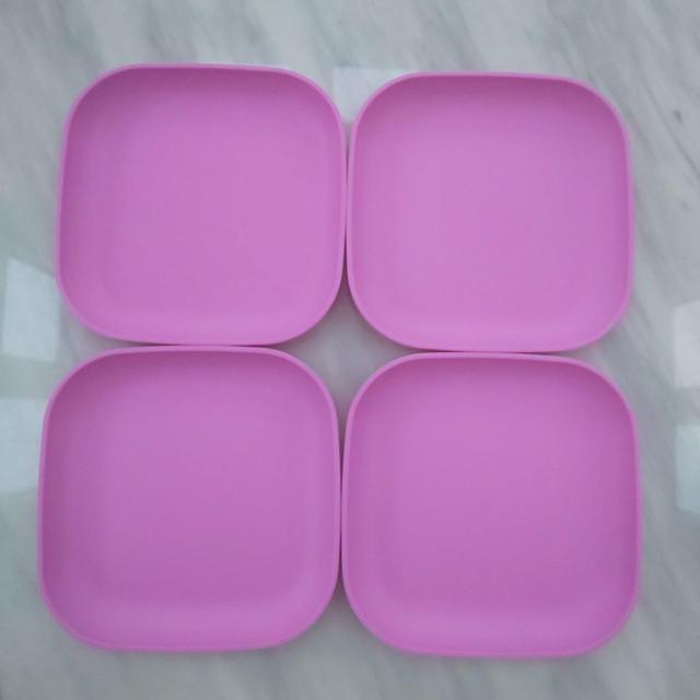 ^bp[EFA Tupperware ~fBN[o[ M   CeA/Ct 