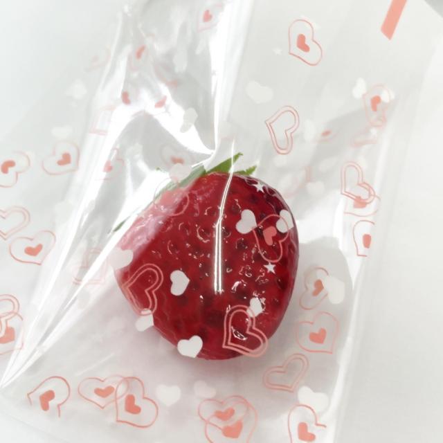 OPP��*5���@82 �� �C���e���A/���C�t�� 