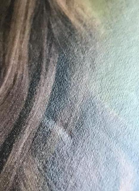 AKB48 z @uT`sI QUO NIJ[hv  `Pbg/ 