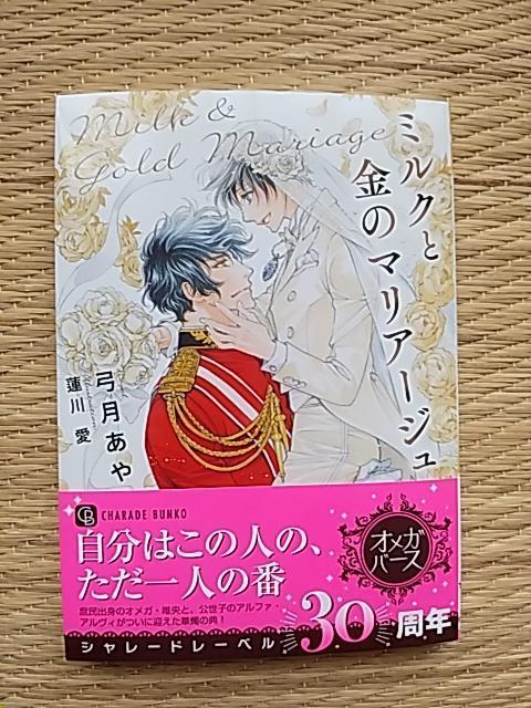 �X���V���@�@�@�~���N�Ƌ��̃}���A�[�W���@�@�@�|������/�@�숤 