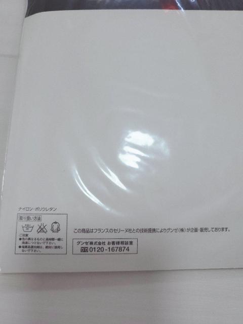 �y�����z���c�i�����ߗށz�@�@�@�@�@�@�@�@�@�@�@�@�@�@�@�@�@�@�@�@CELINE�@�p���e�B�X�g�b�L���O�@�p���X�g�@��*mii�c�݂�*��