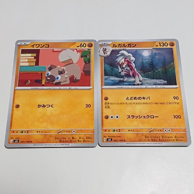 |PJ[h CR C & KK U XJ[bgoCIbg ̎xz I[i[ |PJ 