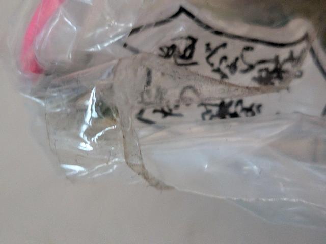 ふなっしーストラップ < 家電/AV ふなっしーストラップ < 家電/AVの