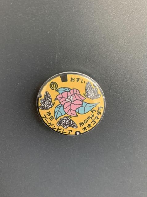 Vi }z[ʃobWyJapan Manhole Collectionsz4  Aj/R~bN/LN^[ 