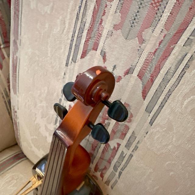 �T���g���[���[�����E�C�X�L�[�@���@�C�I�����^�{�g�� �� �O����/�h�����N�� 