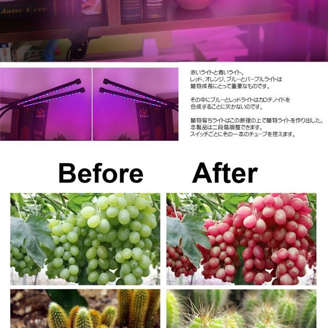 プラント LED ライト 植物L 育成用 ダブルチューブ クリップ式 < ペット/手芸/園芸  プラント LED ライト 植物L 育成用 ダブルチューブ クリップ式 < ペット/手芸/園芸の