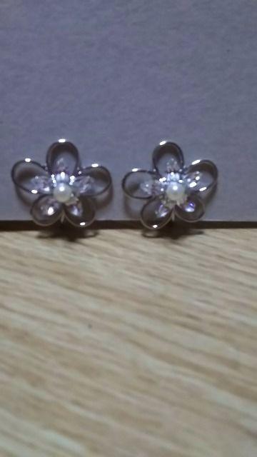 �V���o�[�C�������O  �� �����A�N�Z�T���[/���v�� 