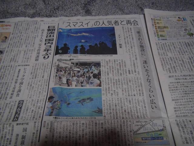 神戸須磨シーワールド 2024年6月1日(土)グランドオープン新聞記事 !。 < ホビー  神戸須磨シーワールド 2024年6月1日(土)グランドオープン新聞記事 !。 < ホビーの