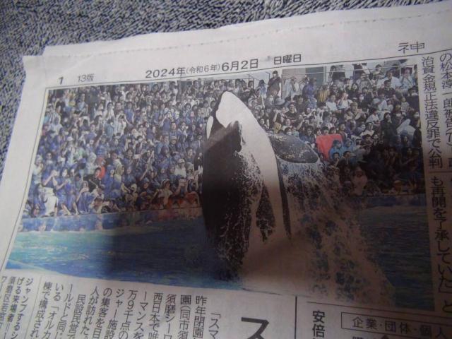 神戸須磨シーワールド 2024年6月1日(土)グランドオープン新聞記事 !。 < ホビー  神戸須磨シーワールド 2024年6月1日(土)グランドオープン新聞記事 !。 < ホビーの